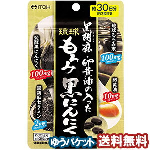 井藤漢方 黒胡麻・卵黄油の入った琉球もろみ黒にんにく 90粒 メール便送料無料