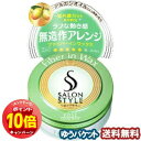 「エントリーでポイント10倍」サロンスタイル ヘアワックス B(ファイバーイン) ミニ 22g メール便送料無料