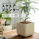 【送料無料】プランター 正方形マグネシウムプランター北欧 プラスチック 樹脂 大型 おしゃれ 植木鉢 大きい 室内 屋外 カバー ガーデンボックス フラワーベー...