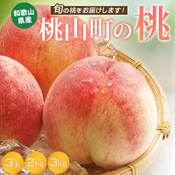 【順次発送開始！】【産地直送】桃 白桃 もも お中元 ギフト 3玉 2kg 3kg 冷蔵便 クール便 ...