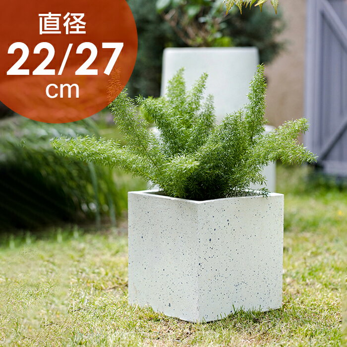 楽天市場】正方形（植木鉢・プランター｜ガーデニング・農業）：花