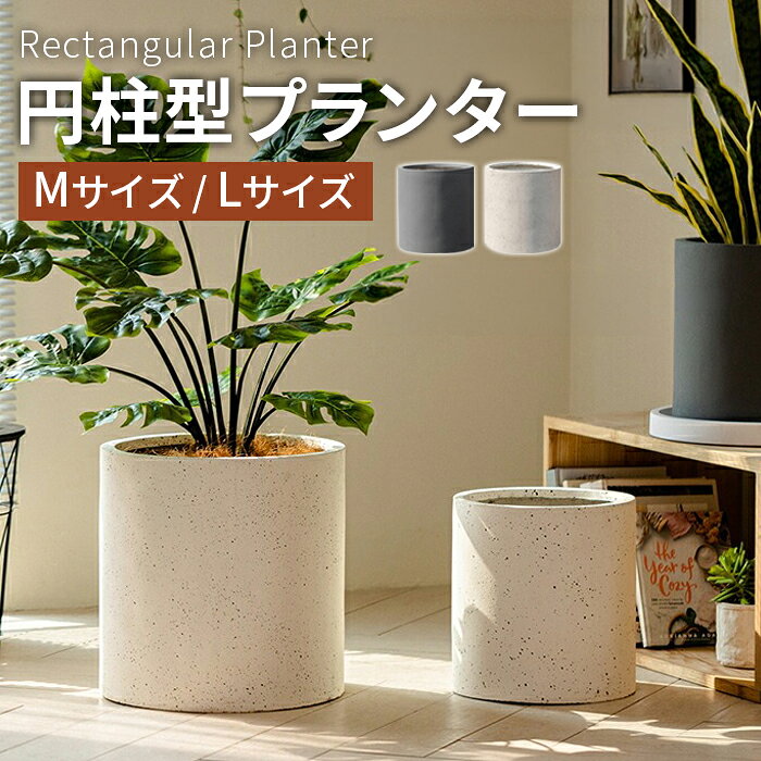 楽天市場】鉢 円柱 グレーの通販