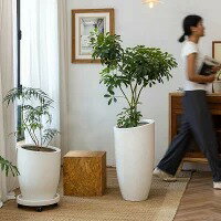 植木鉢 北欧風 プランター 観葉植物用 大型 方形 口径30cm 10号 軽量 深型 穴付き おしゃれ 室内 屋外対応 耐候性 フラワーポット ガーデンポット ホワイト