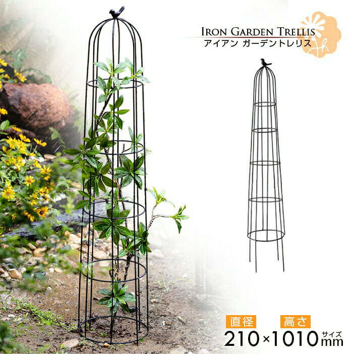 Rakuten - 【送料無料】 JUHAN ガーデントレリス 直径21cm×高さ101cm スモールオベリスク 10号鉢 鉢植え アイアントレリス おしゃれ プランター バラ 薔薇 アイアンフェンス 半円 ローズオベリスク 家庭菜園 レマチス つる性植物 ガーデニング アメリカンアーチパイプ