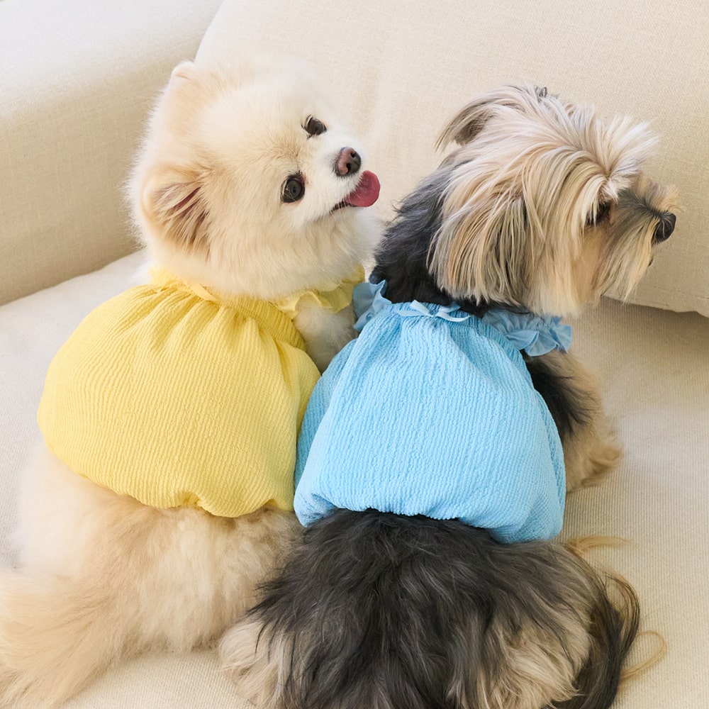 【7/19 20:00~P5倍】犬 春服 夏服 小型犬 犬の服 夏服 犬 ペット服 小型犬 服 ベニ...