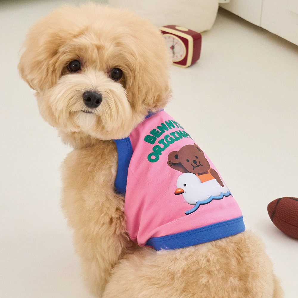 楽天市場】benny 犬の通販