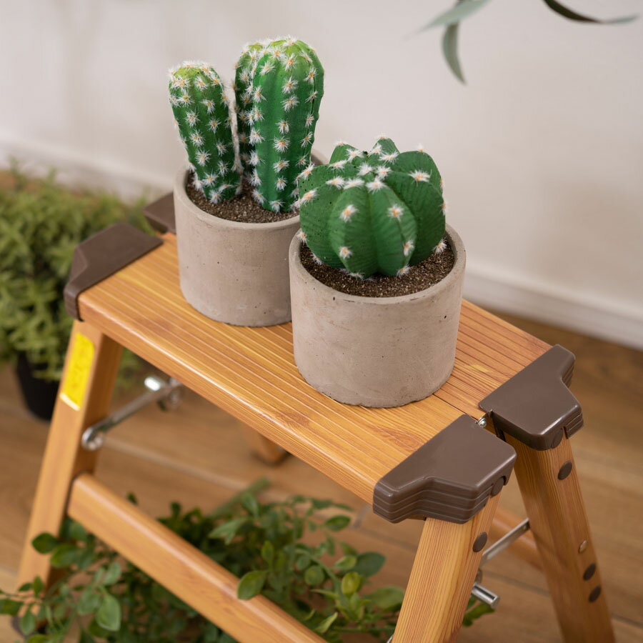 ��300�ߥ����ݥ���۵�Ω �ޤꤿ���� ����ѥ��� ����� 1�� ���� ������� Ƨ���� �Ҷ� �ȥ��� �ޤ���� �Ϥ��� ���� ���ƥå��� ����Ĵ �¤� �͵�