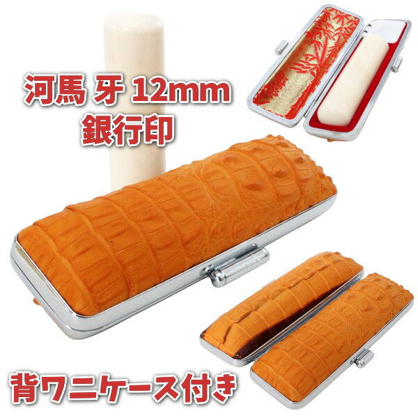 100ߥݥ۰ ԰    12mm դå ե դ ˳ Ƭإ ƬդҤդ  ...