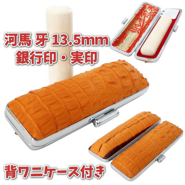 100ߥݥ۰ ԰°    13.5mm դå ե դ ˳ Ƭإ ƬդҤդ ...