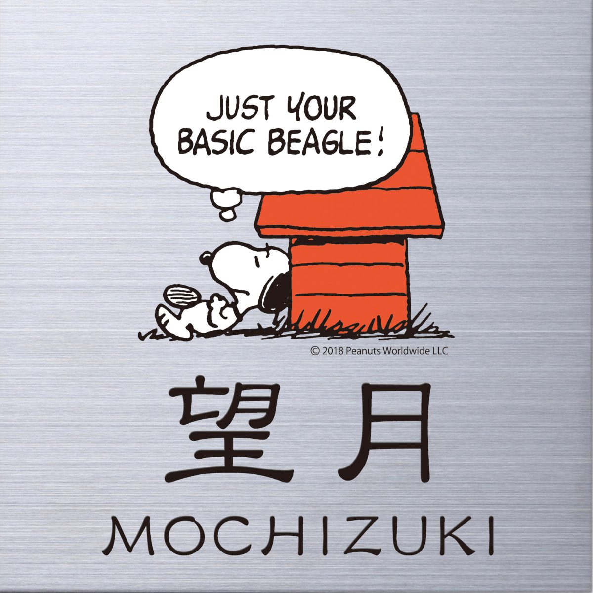 【100円クーポン中】戸建 表札 スヌーピー PEANUTS SNOOPY SIGN 表札 機能門柱用サイズ ステンレス NSP..