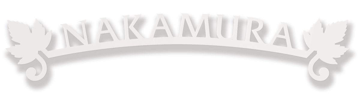 【100円クーポン中】戸建 表札 切り文字 ステンレス Branche ブランシュ ホワイト NBR-H1 ローマ字:フリッツ体