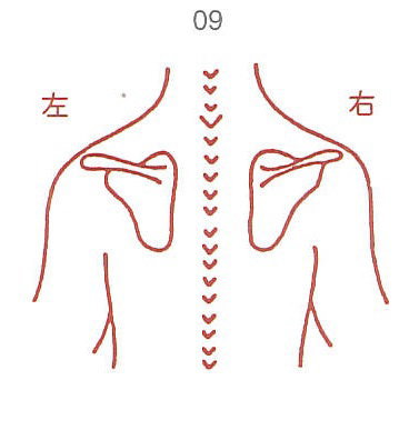 【クーポン配布中】人体図 スタンプ ゴム印 09 肩 化粧箱ケース付き 医療料 カルテ ※ご使用にはスタンプ台が必要です。印鑑