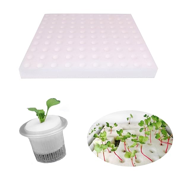 Rakuten - 水耕栽培スポンジ 野菜植えスポンジ 水耕栽培器 スクエア苗スポンジ 葉菜用培地 スポンジ