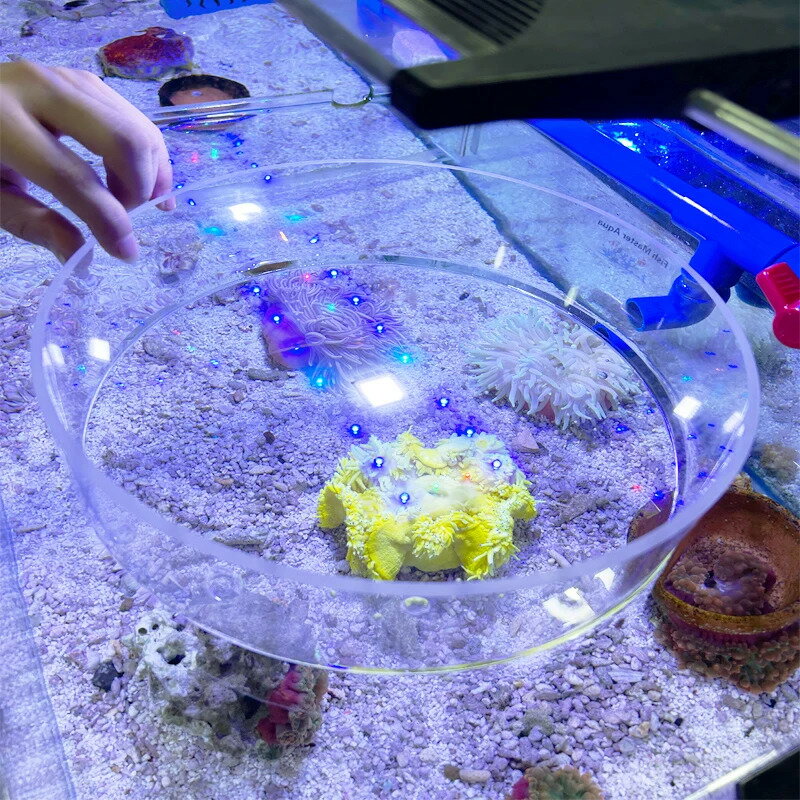 水族館海水槽アクリルサンゴ観察ミラー海水魚水槽水中写真サンゴ抗干渉拡大ガラス