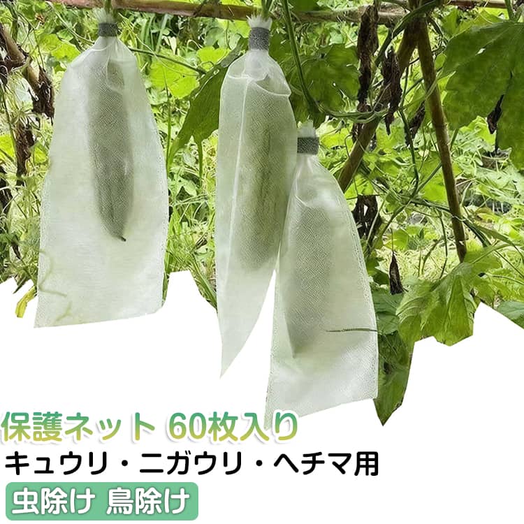 キュウリ・ヘチマ・ニガウリなどの果実を袋で包むだけで、害虫の食害や鳥による被害を防止し、きれいな野菜を育てられます。絞り紐付きの巾着タイプで、果実を入れて紐を締めるだけで簡単に装着完了。作業時間を大幅に節約できます。通気性の良い不織布素材を採用。蒸れにくく果実が傷まない上、雨水が溜まらないので病気や腐りを防ぎます。丈夫な不織布素材で繰り返し使用でき、使い捨てではないので環境に優しく、長期的にお得に使えます。 サイズ 15*38cm 15*48cm サイズについての説明 サイズ：15*38cm 15*48cm※実寸はメジャー採寸の為、若干の誤差が生じる場合があります。 素材 不織布 色 60枚入り 備考 ●サイズ詳細等の測り方はスタッフ間で統一、徹底はしておりますが、実寸は商品によって若干の誤差(1cm～3cm )がある場合がございますので、予めご了承ください。 ●製造ロットにより、細部形状の違いや、同色でも色味に多少の誤差が生じます。 ●パッケージは改良のため予告なく仕様を変更する場合があります。 ▼商品の色は、撮影時の光や、お客様のモニターの色具合などにより、実際の商品と異なる場合がございます。あらかじめ、ご了承ください。 ▼生地の特性上、やや匂いが強く感じられるものもございます。数日のご使用や陰干しなどで気になる匂いはほとんど感じられなくなります。 ▼同じ商品でも生産時期により形やサイズ、カラーに多少の誤差が生じる場合もございます。 ▼他店舗でも在庫を共有して販売をしている為、受注後欠品となる場合もございます。予め、ご了承お願い申し上げます。 ▼出荷前に全て検品を行っておりますが、万が一商品に不具合があった場合は、お問い合わせフォームまたはメールよりご連絡頂けます様お願い申し上げます。速やかに対応致しますのでご安心ください。