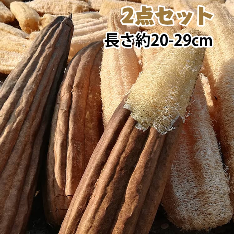 ヘチマスポンジ ヘチマスポンジ 20-29cm キッチンスポンジ 2点セット 食器洗いスポ...