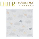 フェイラー メール便 送料無料 フェイラー ハンカチ 25×25 ラブリースカイ LOVELY SKY Feiler Chenille Towel