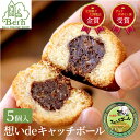 想いdeキャッチボールチョコ 焼き菓子 お菓子 焼菓子 ギフト 土産 みやげ お返し プレゼント グッズ お祝い 阪神 甲子園 西宮 神戸 ベルン