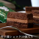 【クール便配送】 甲子園ショコラ（10コ入り）スイーツ ご褒美 プレゼント チョコレートケーキ しっとり お取り寄せ 高級 洋菓子 人気 誕生日 バースデー お菓子 結婚祝い 出産祝い 内祝い ギフト 贈り物 帰省土産 阪神 西宮 甲子園 ベルン ホワイトデー 【39ショップ】