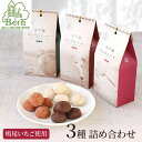 甲子園ほろほろクッキー3個セット