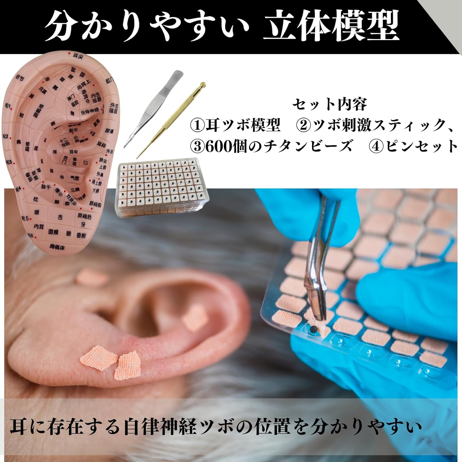 ���ĥ� �Ϸ� Ω���Ϸ� ���ĥ��Ϸ� ���Ĥܥ����� 17cm ���Ĥ��Ϸ� ���Ĥܥ��奨�꡼