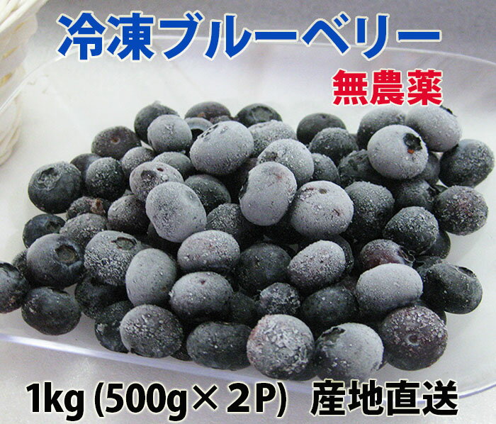 国産、無農薬の冷凍ブルーベリー1kg(500g×2) 農薬・除草剤不使用、洗い済み