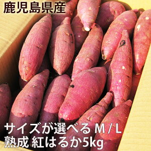 【鹿児島さつまいも】鹿児島県の美味しいサツマイモをお取り寄せしたい！おすすめは？