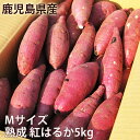 鹿児島のさつまいも「紅はるか」5kg Mサイズ 熟成 べにはるか