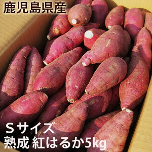 鹿児島のさつまいも「べにはるか」5kg Sサイズ 熟成 紅はるか