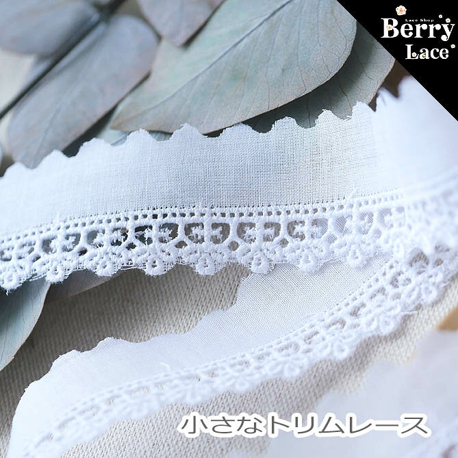 B 大量 手芸副資材 トリム レース いろいろ B 大量 手芸副資材 トリム