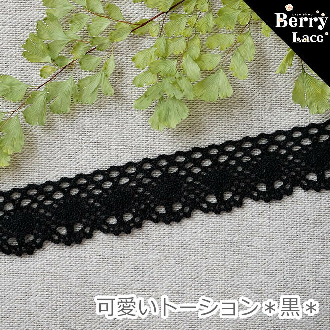 † トーション レース† 可愛いトーション* 黒* 2m巻き（T-1)