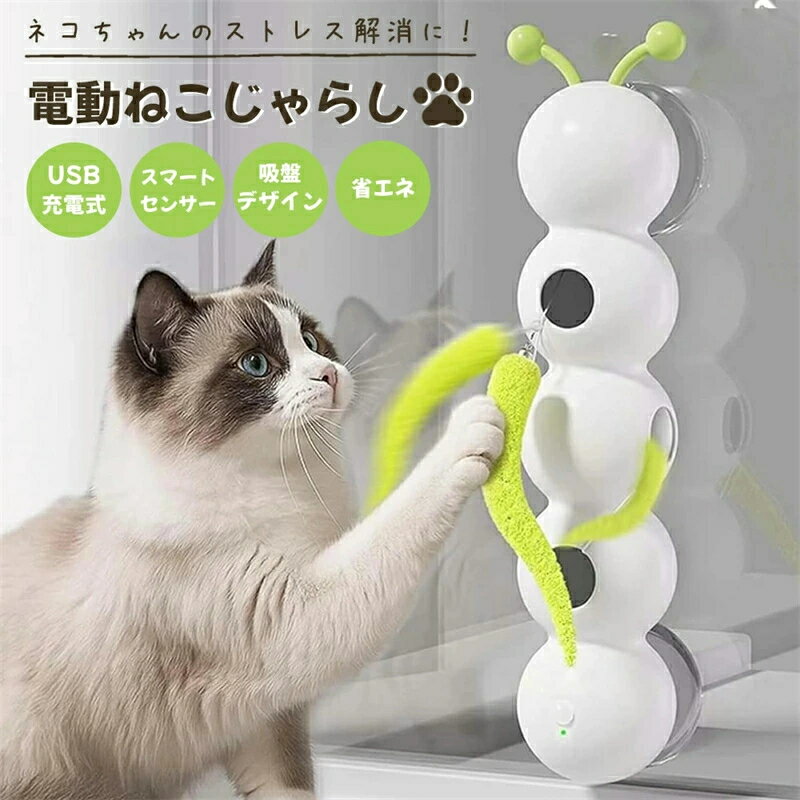 楽天市場】人感センサー 室内（おもちゃ｜猫用品）：ペット・ペット