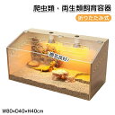 爬虫類 飼育ケージ 折りたたみ式 グラステラリウ W80×D40×H40cm 両開きフロントドア 換気良好 爬虫類・両生類飼育容器 トカゲ/クモ/カエル亀//蛇/蛙/昆虫など適用