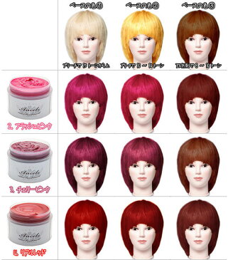 ヘアカラー 送料無料 エンシェールズ カラーバター 200g【2個セット】★全27色★ カラークリーム ヘアカラートリートメント アッシュ ミルクティー ダーク シルバー ピンク 通販 1/24更新♪