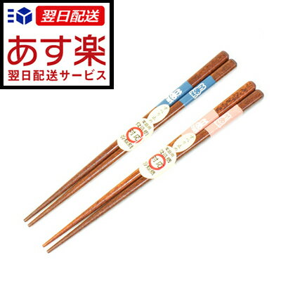  Ȥ Ϥ [Ҷѡ16cm]б ե £ʪ ץ쥼 10/23