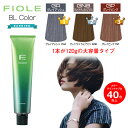 フィヨーレ BLカラー アッシュ グレージュ ピンク ブラウン グリーン ミルクティ 白髪染め 白髪用 ヘアカラー 120g 女性用 カラー剤 業務用 10/23更新♪ ◆