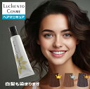 ヘアマニキュア 白髪用 ルーチェントコスメ ブラウン ピンク ミルクティー アッシュ パープル ブラック ピンク ブルー オレンジ レッド グリーン ヘアカラー カラー剤 業務用 白髪染め 2/10更新♪