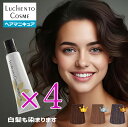 ヘアマニキュア 白髪用 ルーチェントコスメ 4本セット ブラウン ピンク ミルクティー アッシュ パープル ブラック ピンク ブルー オレンジ レッド グリーン ヘアカラー カラー剤 業務用 白髪染め 2/10更新♪