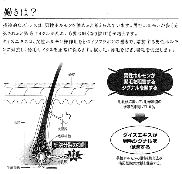 送料無料 育毛剤 薬用育毛 オーレックス 220g[ 医薬部外品 ] セフティヘアコスメティクス ヘアトニック 通販◆ 11/17更新♪