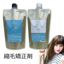 縮毛矯正剤 業務用 ランス HS ハイストレート 1剤 400ml ／ 2剤 400ml セット ◇ 送料無料 ストレートパーマ 通販 7/1更新♪