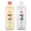 パーマ液 ウエラ スタイルフォーム ヘアコントロール N 1 剤 / 2 剤 セット 各400ml ★★ 標準毛用 ゆるふわ パーマ アイパー リーパー パンチ 業務用 楽天 市場 通販 10/23更新♪