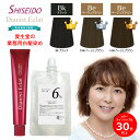 資生堂 ディアニスト エクラ 6% オキシ 100ml セット ヘアカラー 白髪染め 女性用 カラー剤 業務用 楽天 市場 通販 4/10更新♪