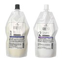 シュワルツコフ ファイバープレックス ストレートH 1剤と2剤のセット
