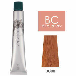 Rakuten - レアラカラー [ カッパ— ブラウン BC08 ] オレンジ サンコール 10/23更新♪