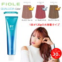 フィヨーレ クオルシア カラー グレー ベージュ コーラルピンク ピンク レッド ラベンダー ディープパープル オレンジ ヘアカラー 120g 女性用 業務用 7/1更新♪ ◆