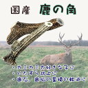 [ 鹿の角 長さ約22cm ] 鹿角 国産 犬のおもちゃ いたずら予防 犬の噛みぐせ 犬のストレス解消 甘噛み防止 デンタルケア 楽天市場 通販 7/1更新♪ 3