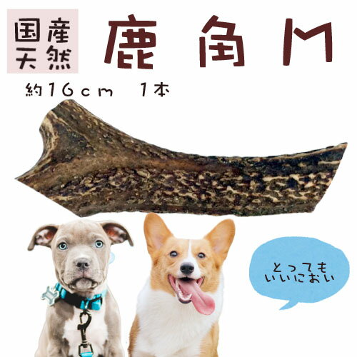 [ 鹿の角 長さ約16cm ] 鹿角 国産 犬のおもちゃ いたずら予防 犬の噛みぐせ 犬のストレス解消 甘噛み防止 デンタルケア 楽天市場 通販 7/1更新♪