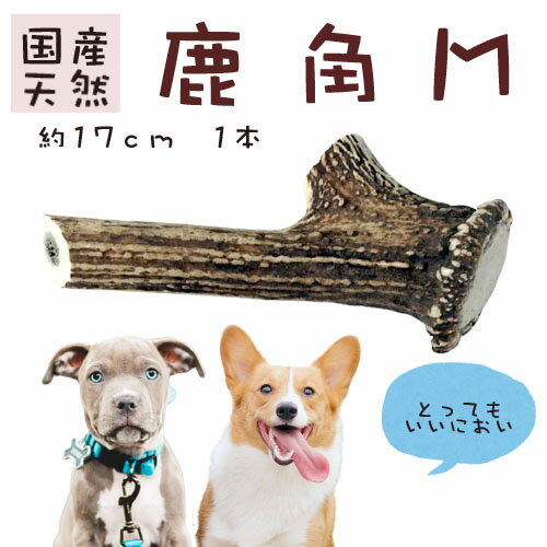 [ 鹿の角 長さ約17cm ] 鹿角 国産 犬のおもちゃ いたずら予防 犬の噛みぐせ 犬のストレス解消 甘噛み防止 デンタルケア 楽天市場 通販 7/1更新♪