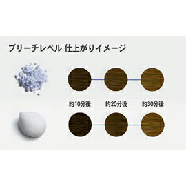 ブリーチクリーム200g★ウエロキソン