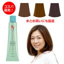 ナプラ アクセスフリー ヘアカラー hb ブラウン ベージュ オレンジ レッド グリーン マット アッシュ イエロー パープル 女性用 白髪用 ヘアカラー 白髪染め ナプラ カラー剤 業務用 7/1更新♪